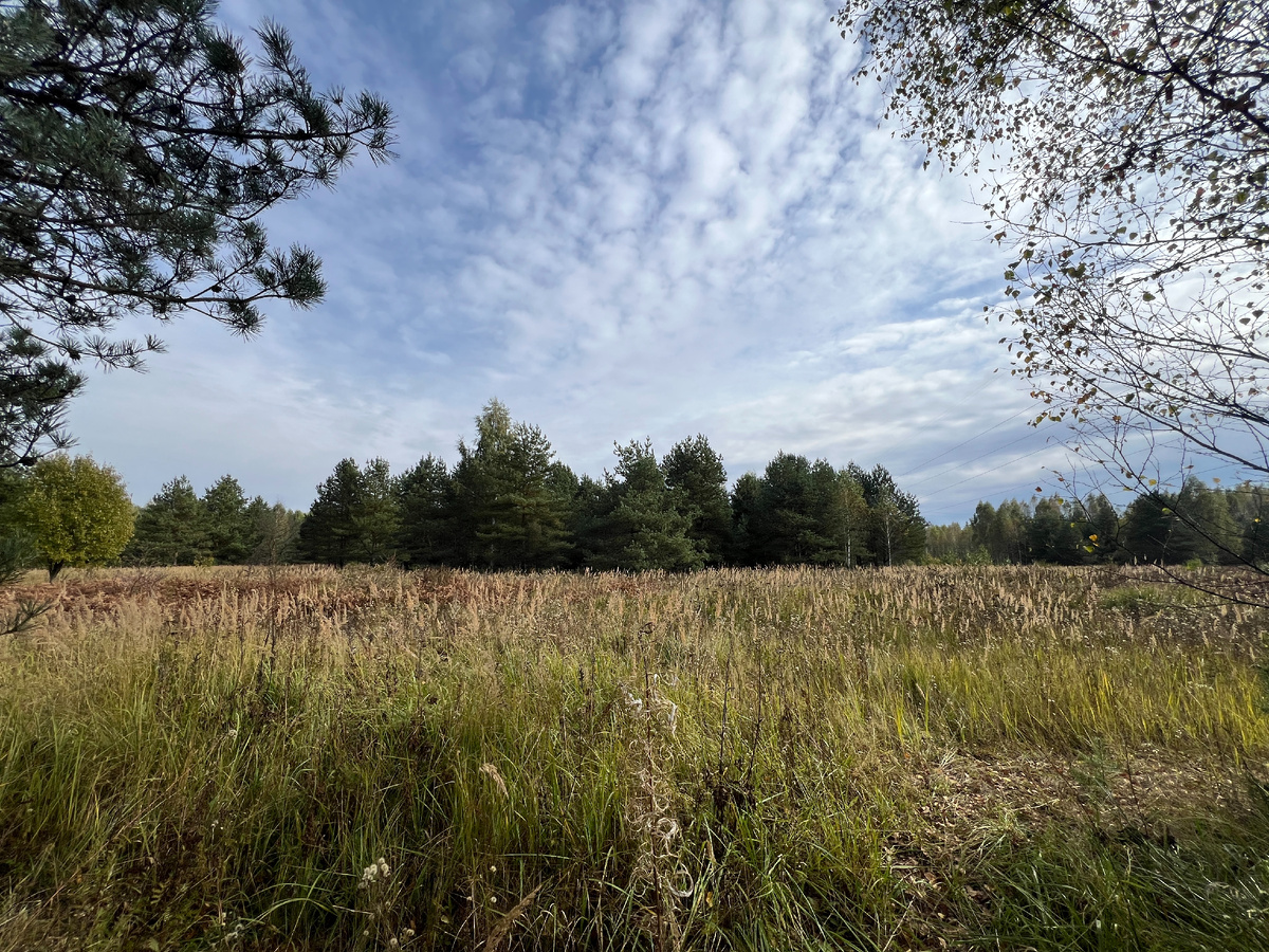 Фото автора 02.10.25