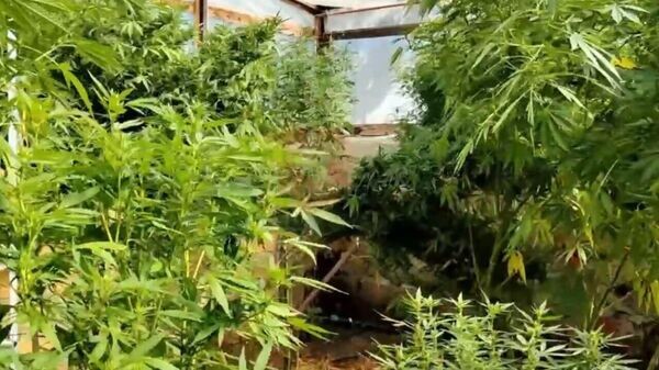    © Прокуратура Севастополя