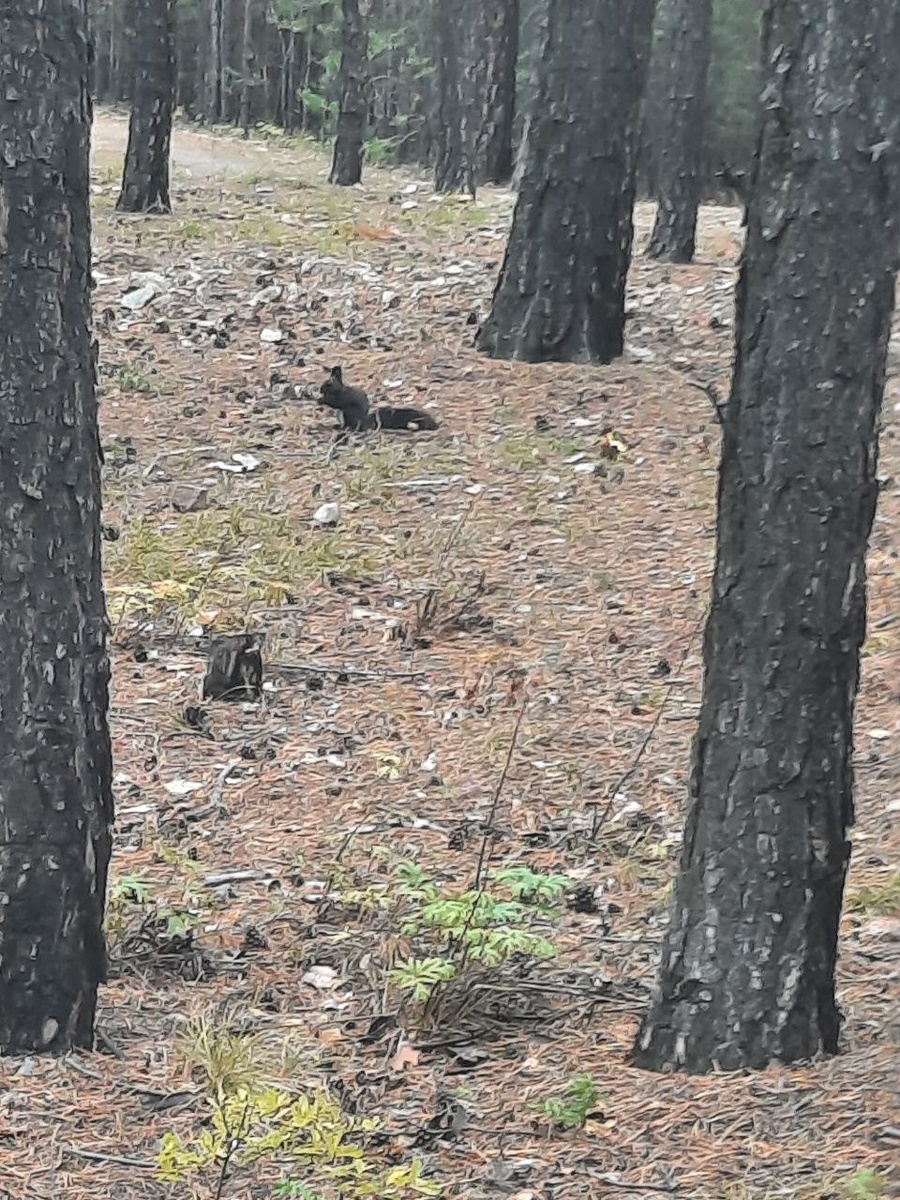 Фото автора.