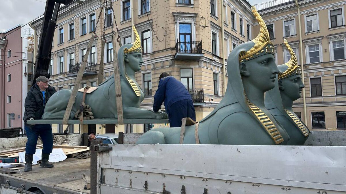    Фото: t.me/gmgs_ru