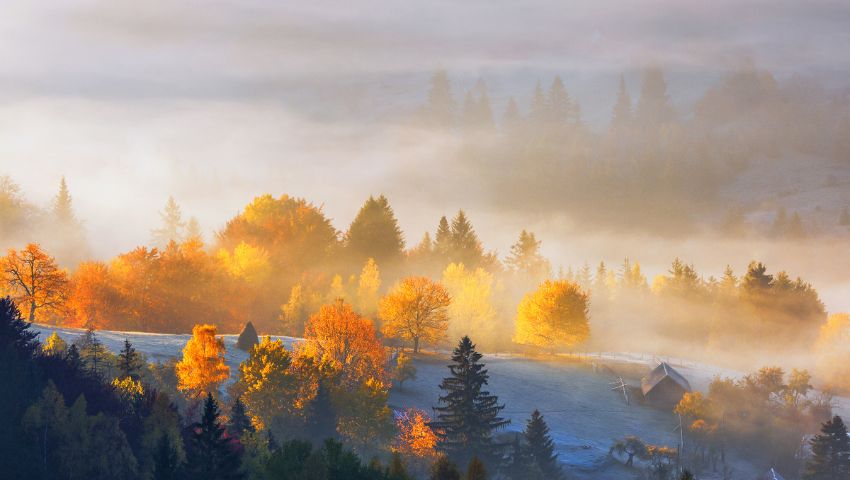     Фото: Vitalii_Mamchuk/Shutterstock/FOTODOM Изморось представляет собой мельчайшие капельки воды диаметром менее 0,5 мм, которые выпадают из слоистых облаков или тумана