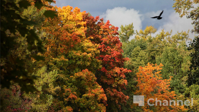 Фото: Анастасия Илюшина/47channel, архив