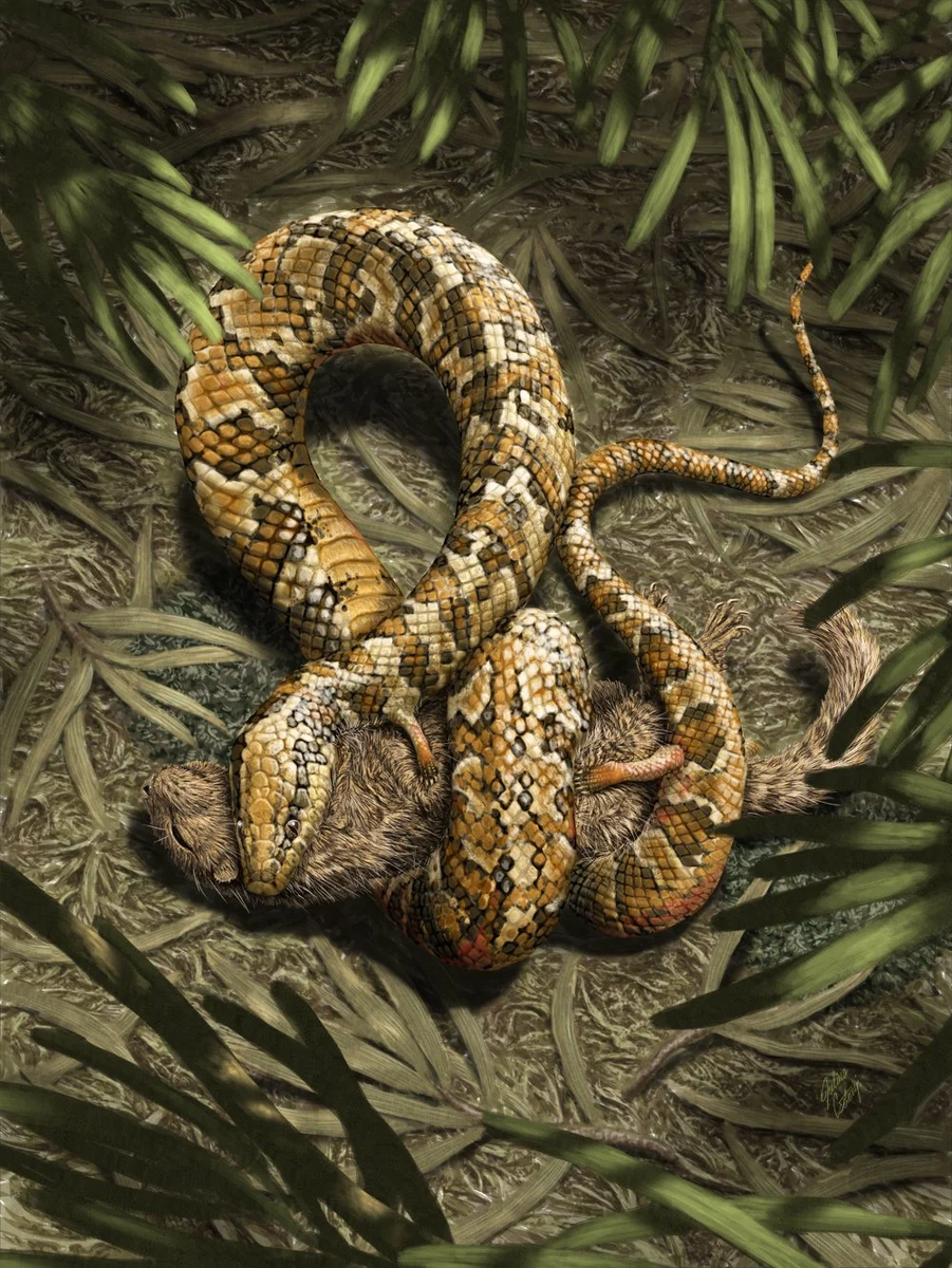 Тетраподофис кусает раннего млекопитающего