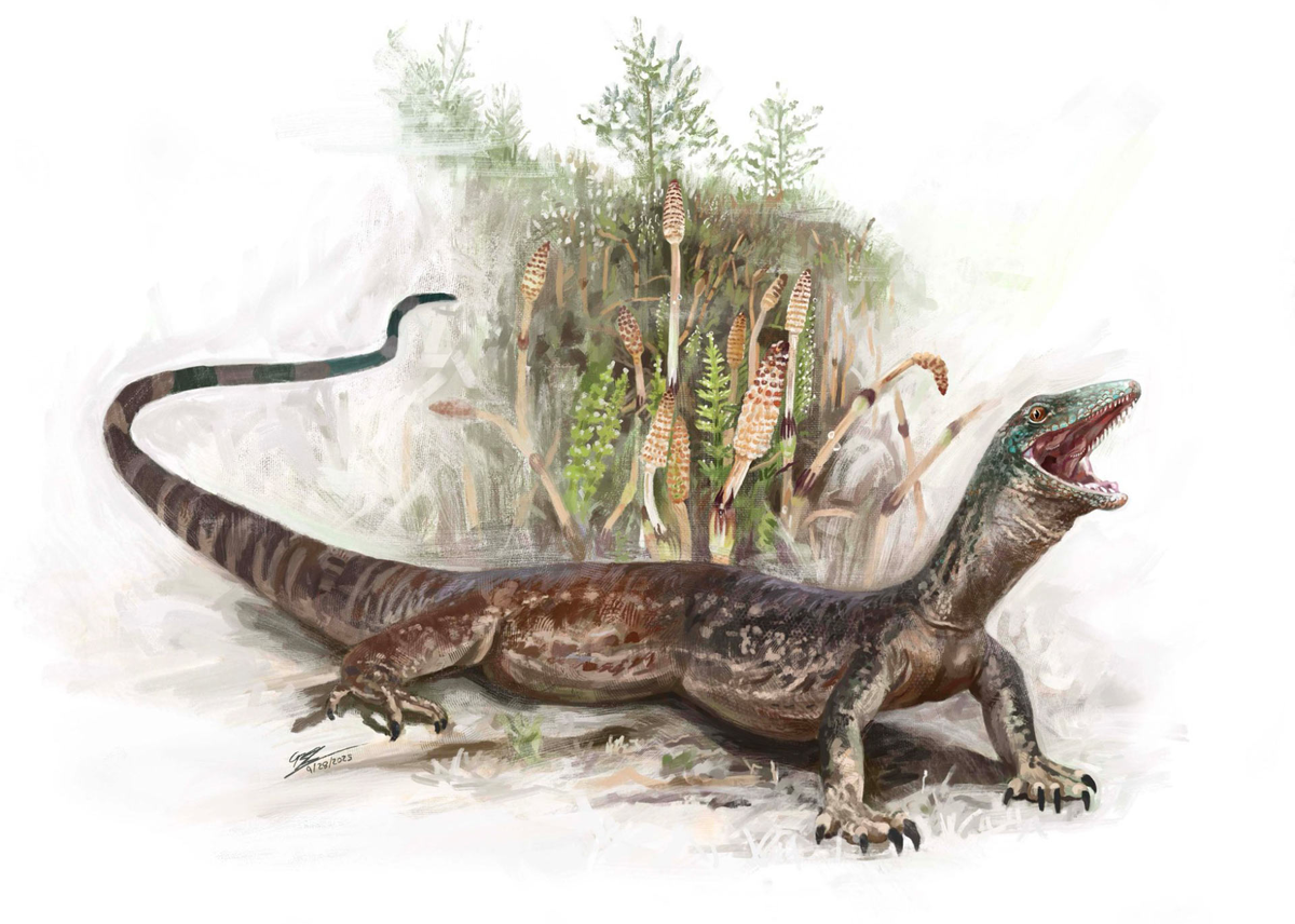 Иллюстрация Brennan Stokkermans