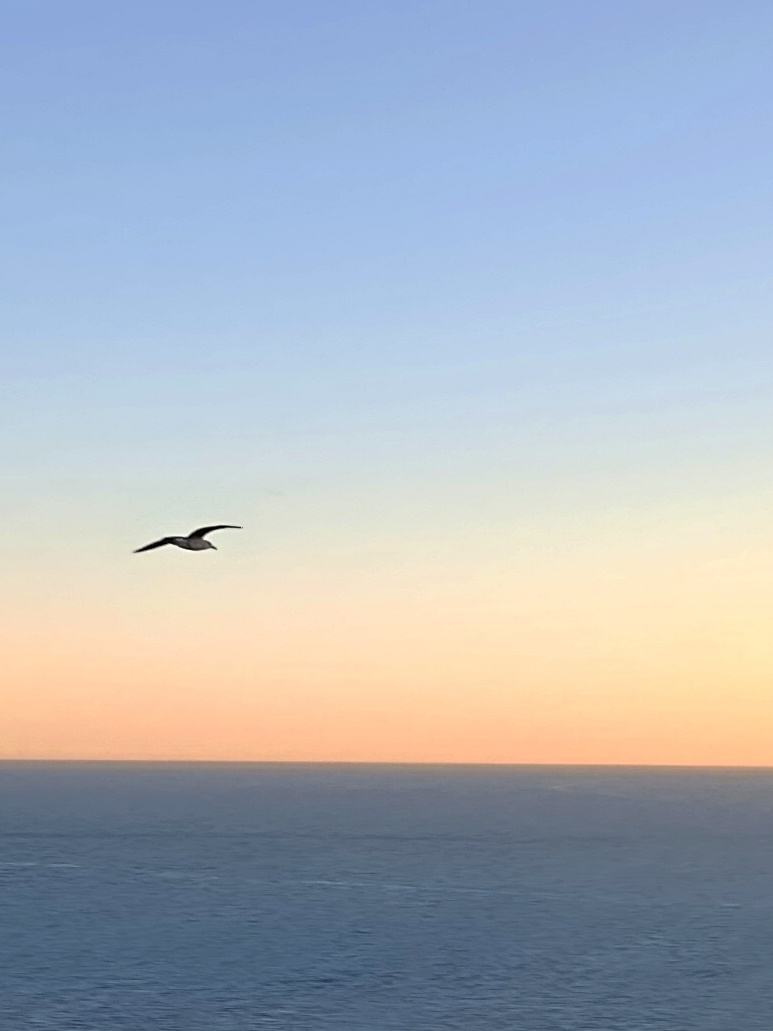 Бесконечный морской простор. Фото автора 