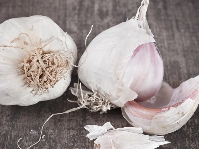    Фото: 123RF/librakv