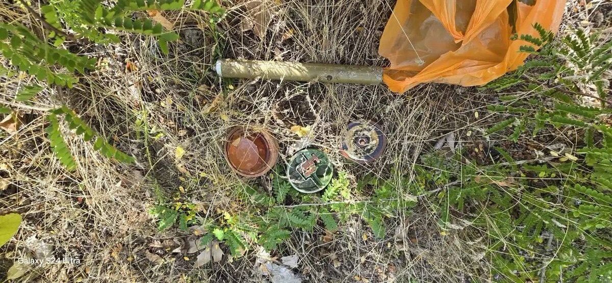    Фото: Telegram-канал Владимира Оганесова