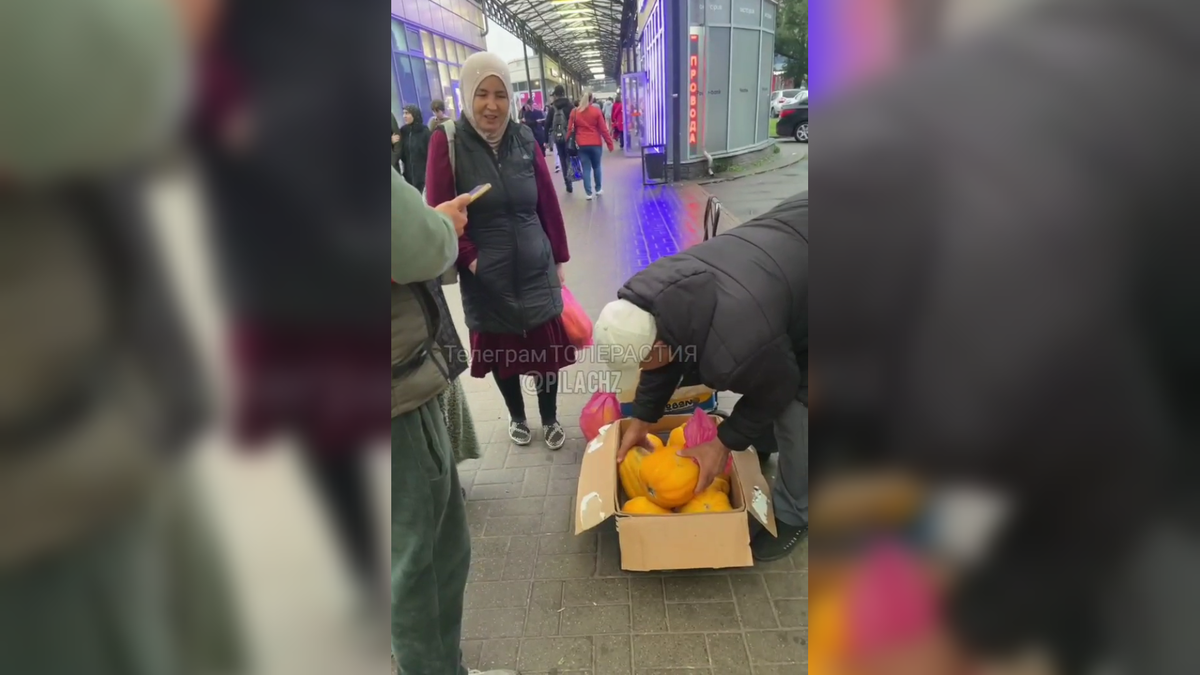 Автор: В. Панченко