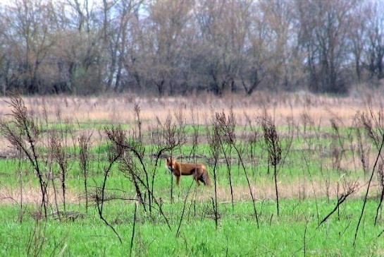   Фото: пресс-служба администрации Краснодарского края