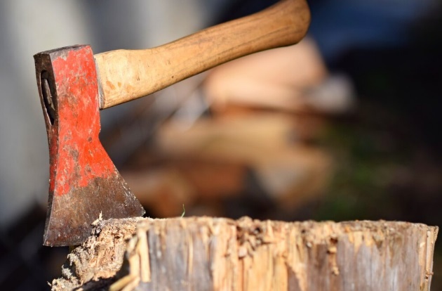 Фото: freepik.com