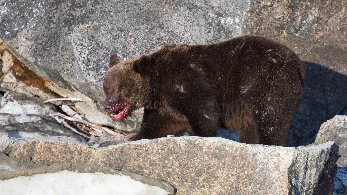   Александр Ведерников / Коммерсантъ