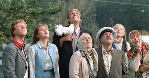 Фото из открытого источника Интернета