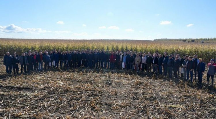    Фото: Минсельхоз и продовольствия Республики Татарстан