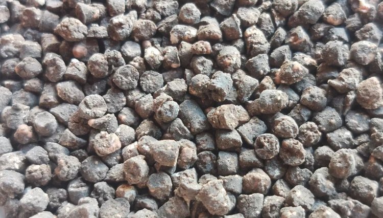    Фото: Лукьянов Дмитрий, AgroXXI.ru