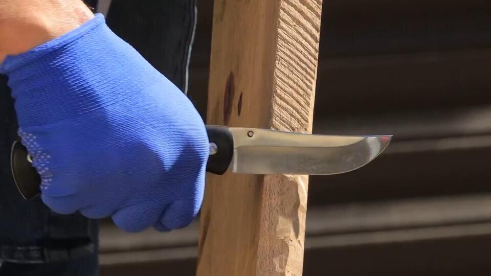 Фото: © Кадр из программы "Самая полезная программа", РЕН ТВ