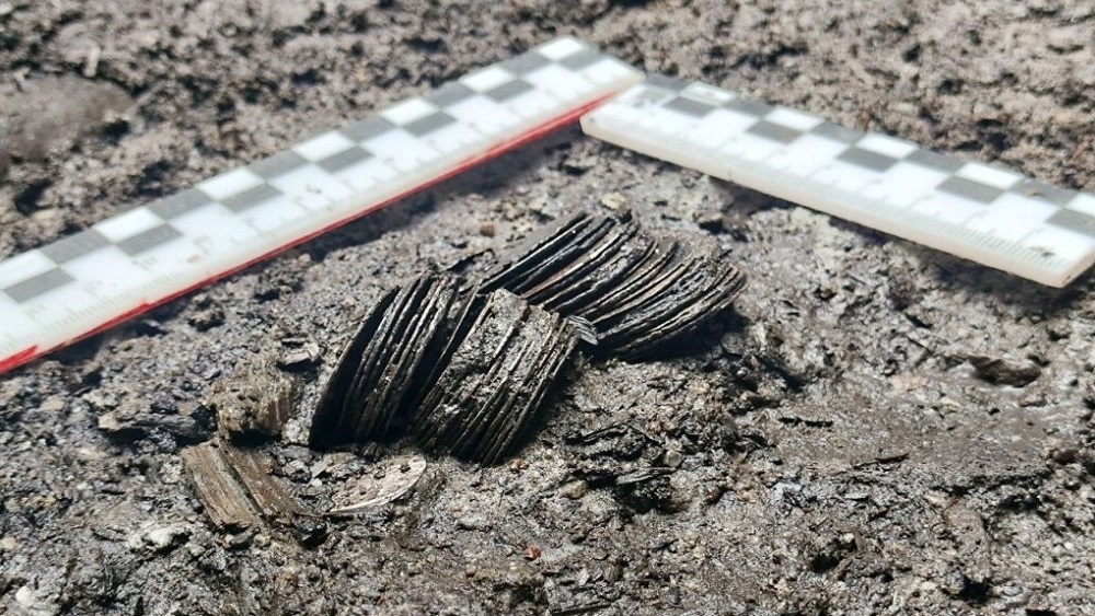     Фото: Институт археологии Российской академии наук