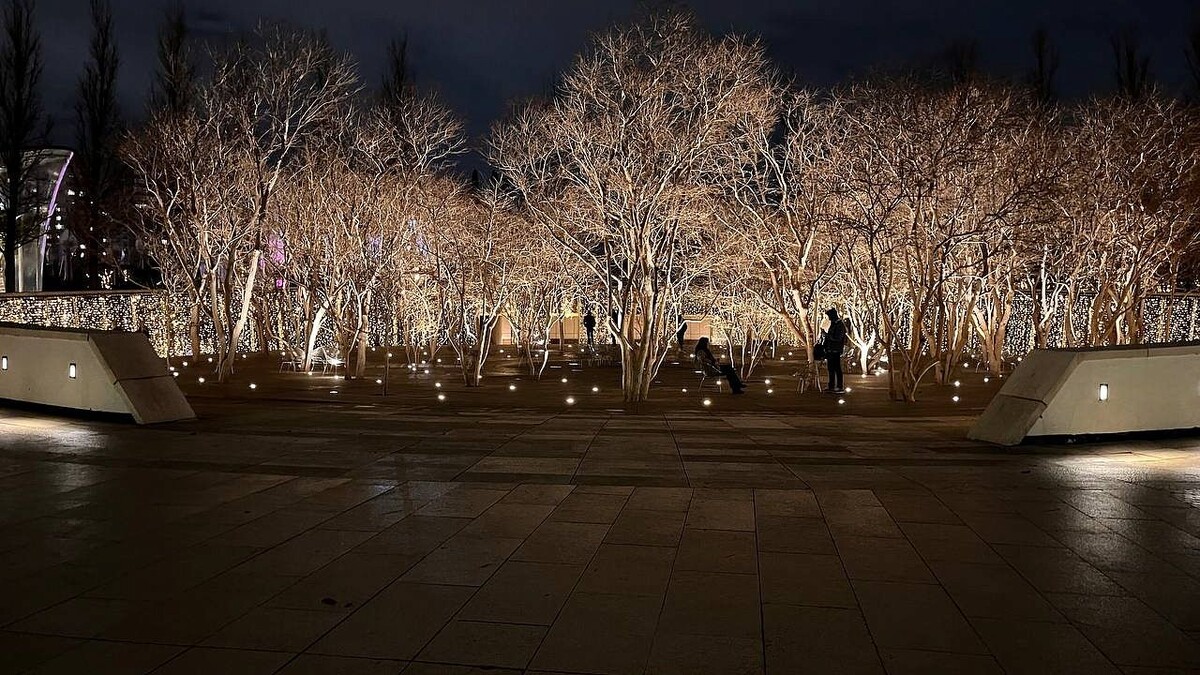    Фото: телеканал «Краснодар»