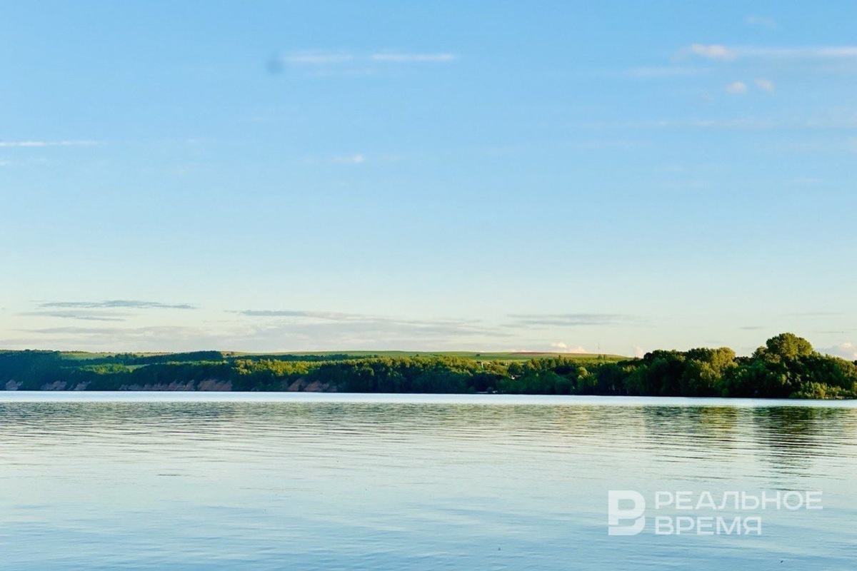   Реальное время / realnoevremya.ru