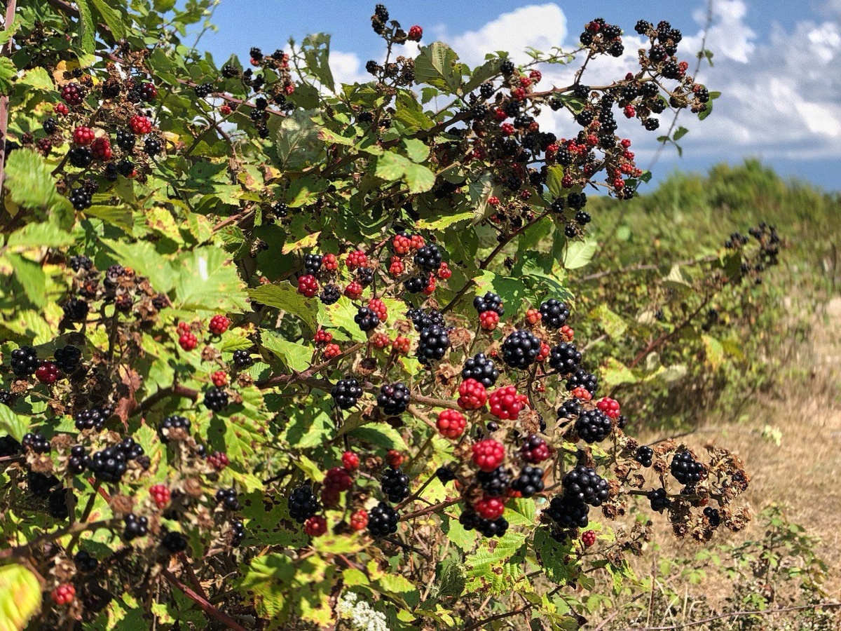    Фото: Наталья Елагина