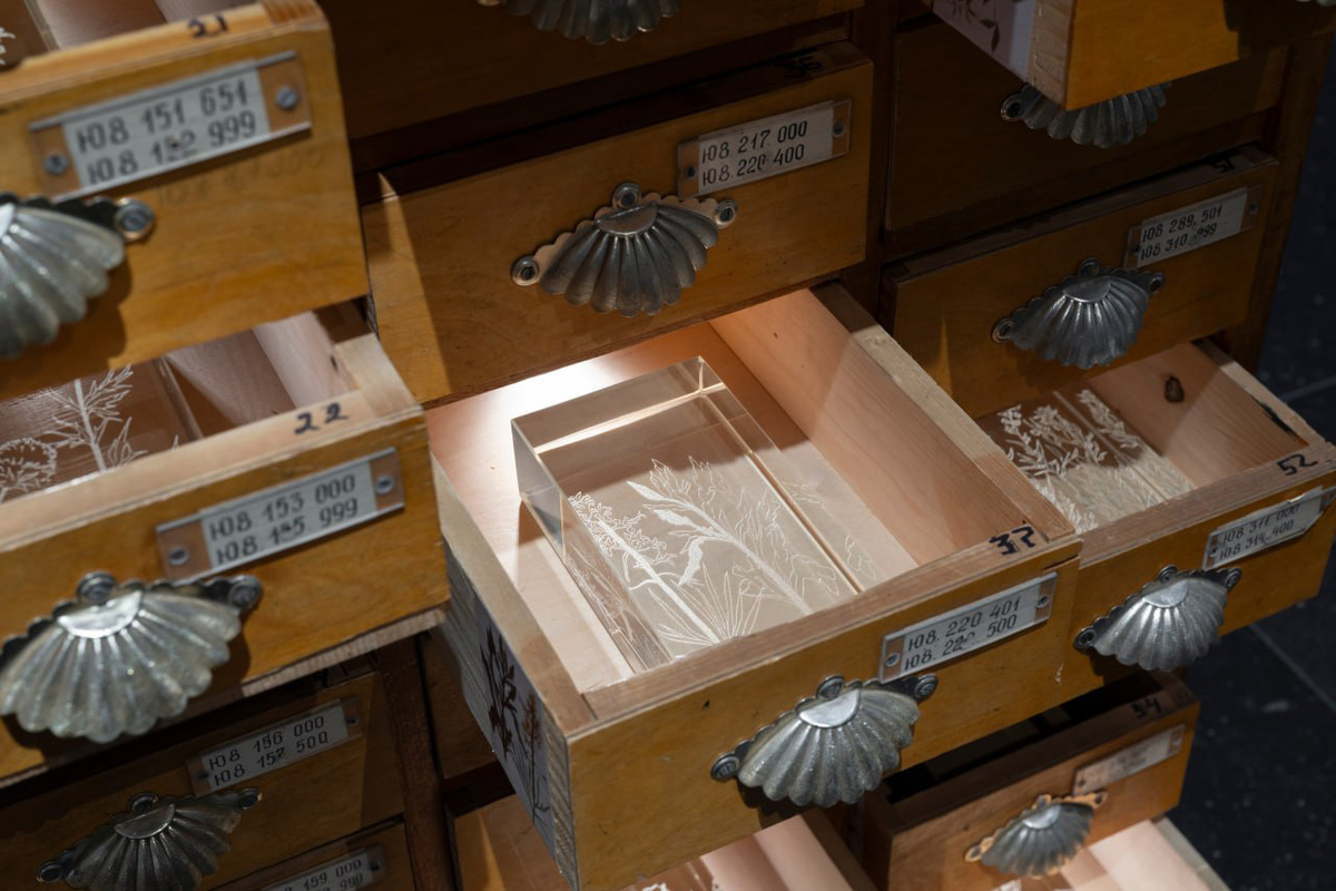    Дарья Неретина, из проекта «Тайная жизнь», 2025 год