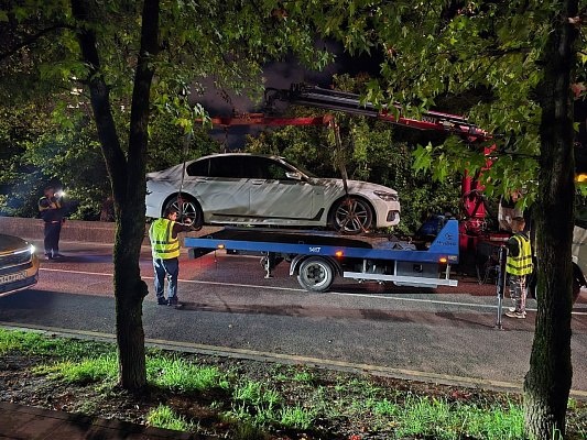    фото: Telegram/Сочи Официальный