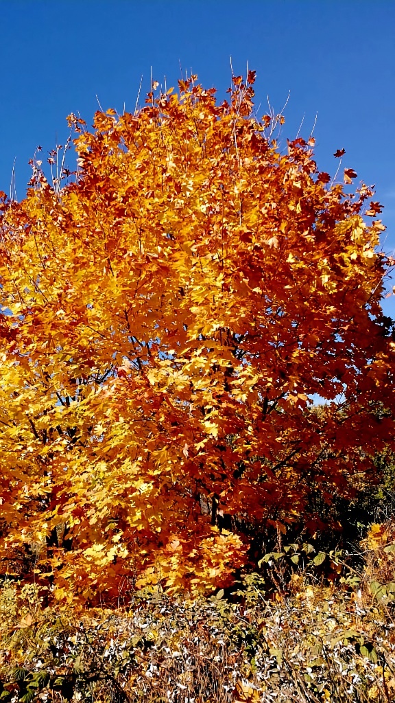 Фото автора Татьяны Федотовой