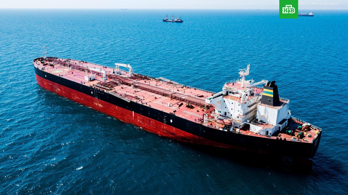    Фото: РИА Новости © 2025, Виталий Тимкив