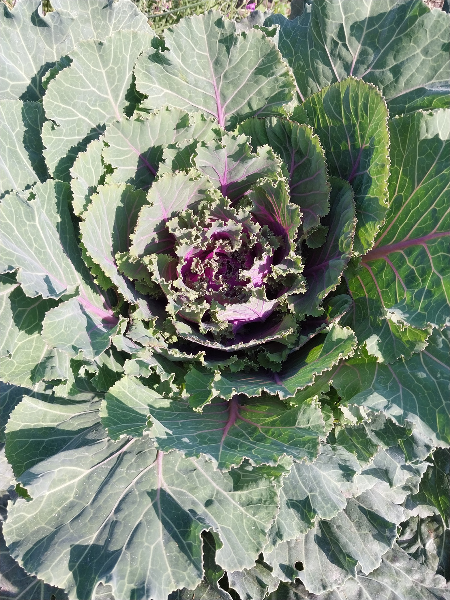 И что мне с этим делать?