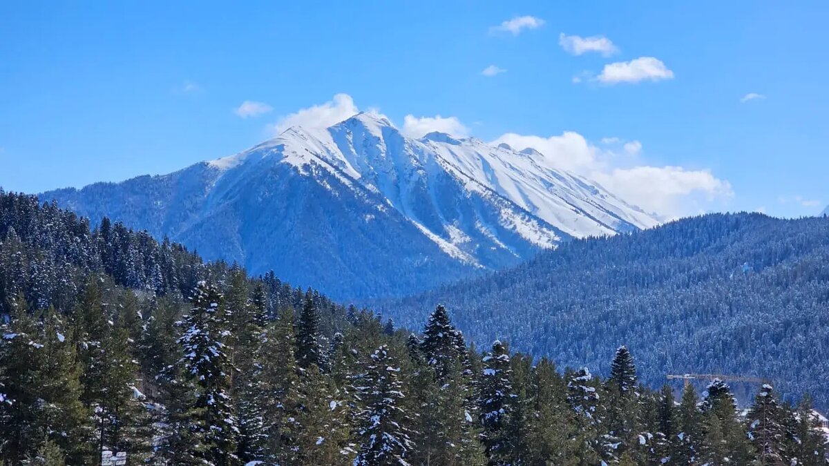     © Интерфакс. Олег Санников