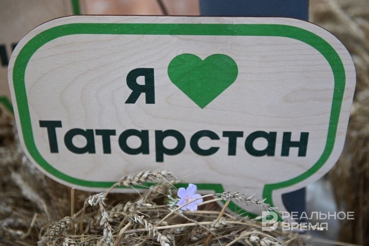   Динар Фатыхов / realnoevremya.ru