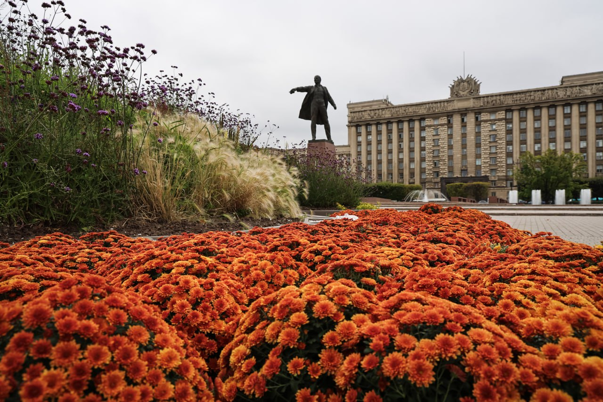 Фото: https://t.me/PetrichenkoSergey