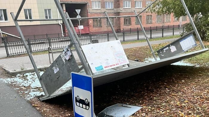    Ирина Ц. / «Новый Омск»