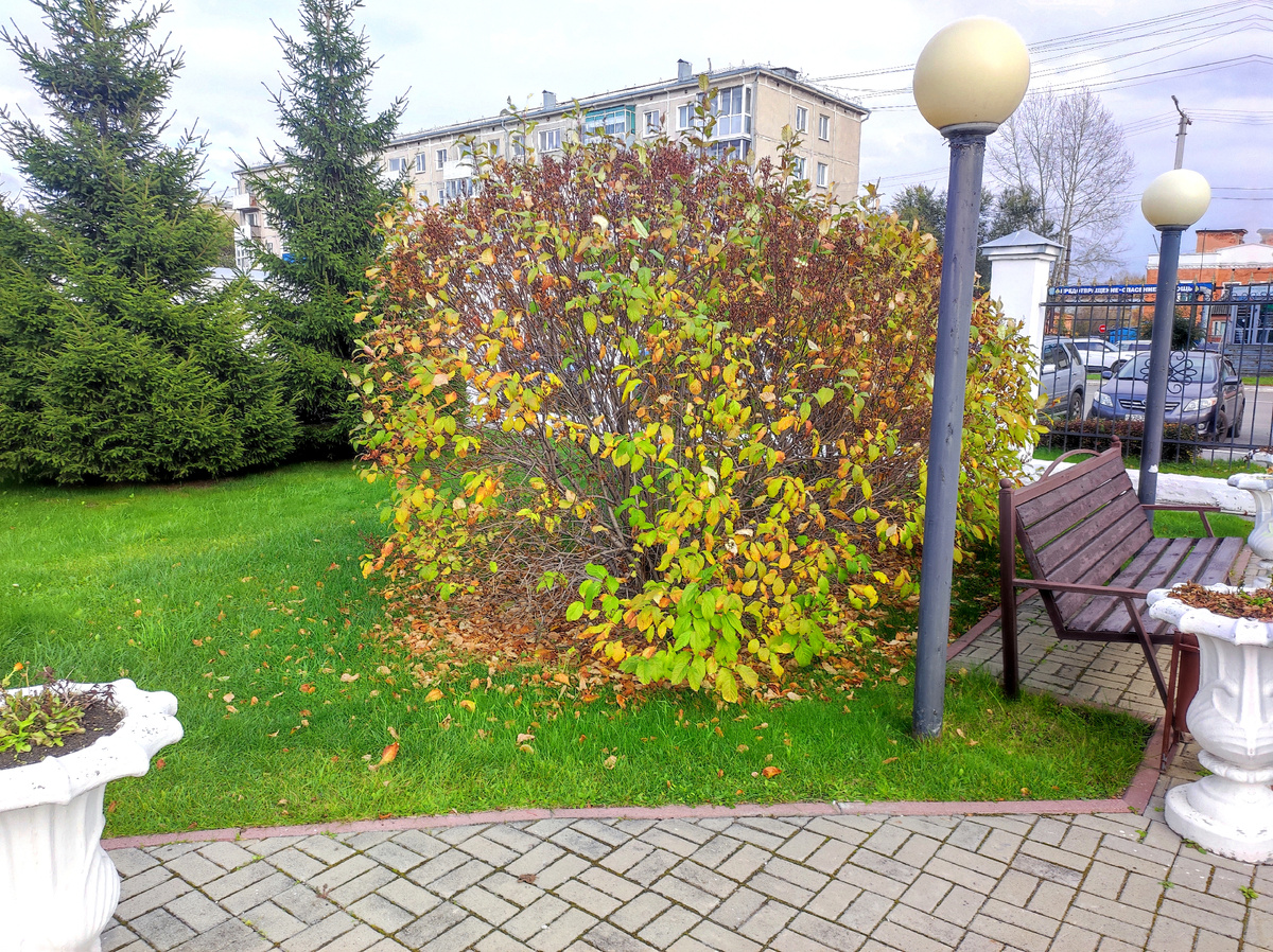 Фото автора 