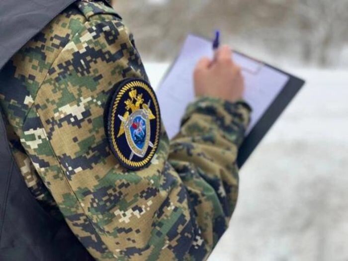 Иллюстрация: sledcom.ru