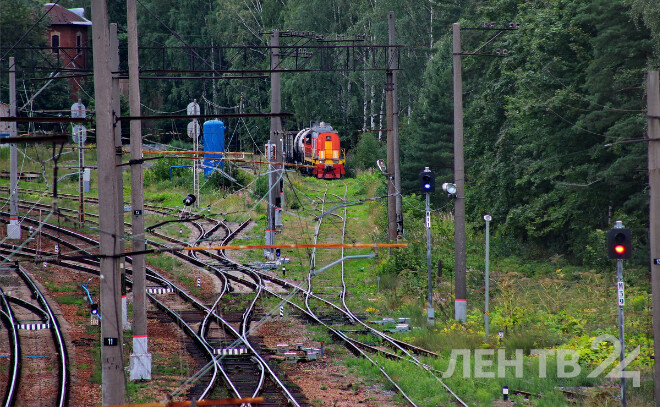    © Анастасия Илюшина / ЛенТВ24