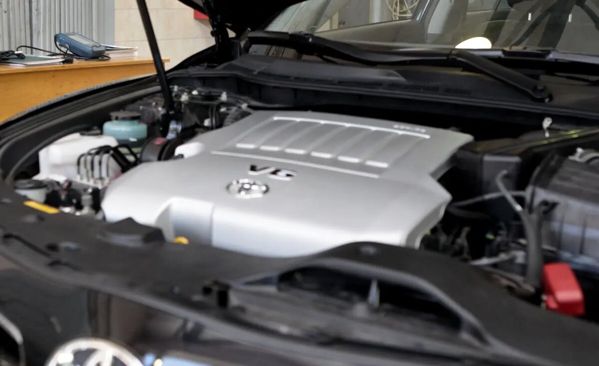    Baltphoto/ Ирина Мотина