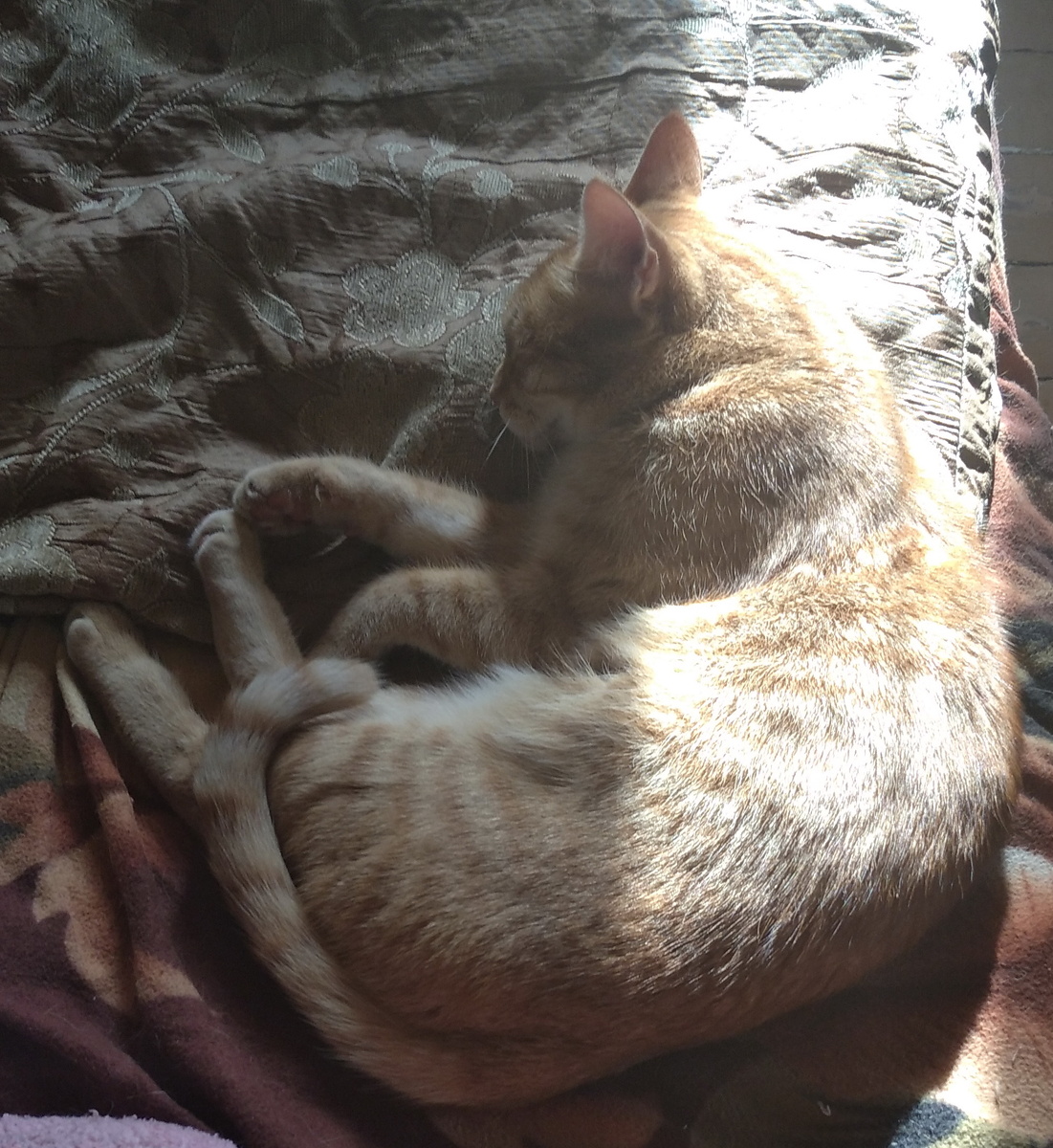 личное фото