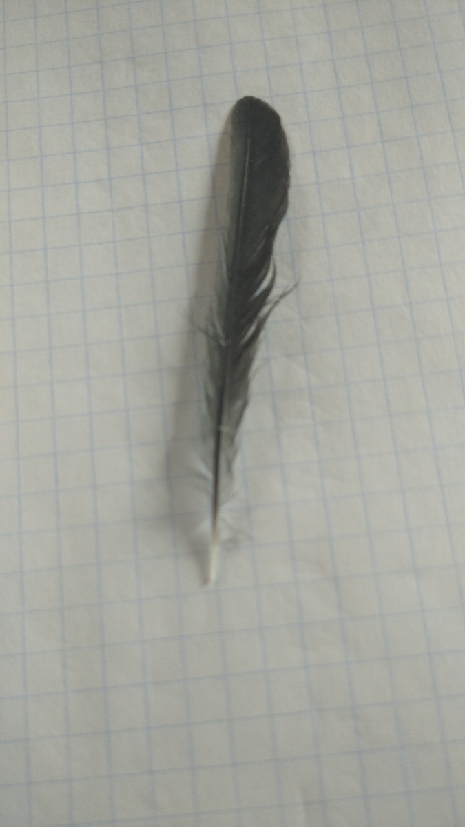 личное фото