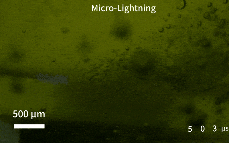   Richard Zare et al. / PNAS, 2025