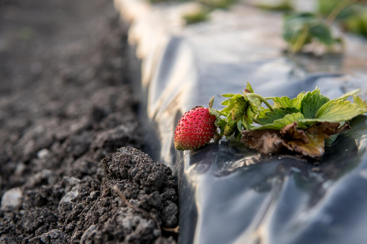     123RF/legion-media.ru