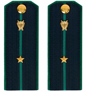 Погоны состава военнослужащих "младшие офицеры", соответствующие воинскому званию "младший лейтенант юстиции".