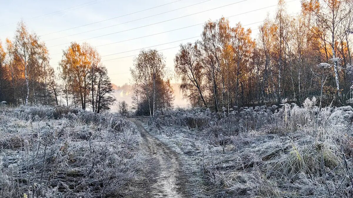    Погода в Москве.