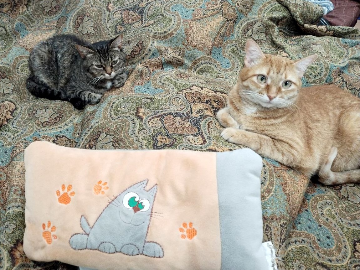 Интересно, на что ставила Чуфа. Проигрывает, судя по выражению лица. 🤣