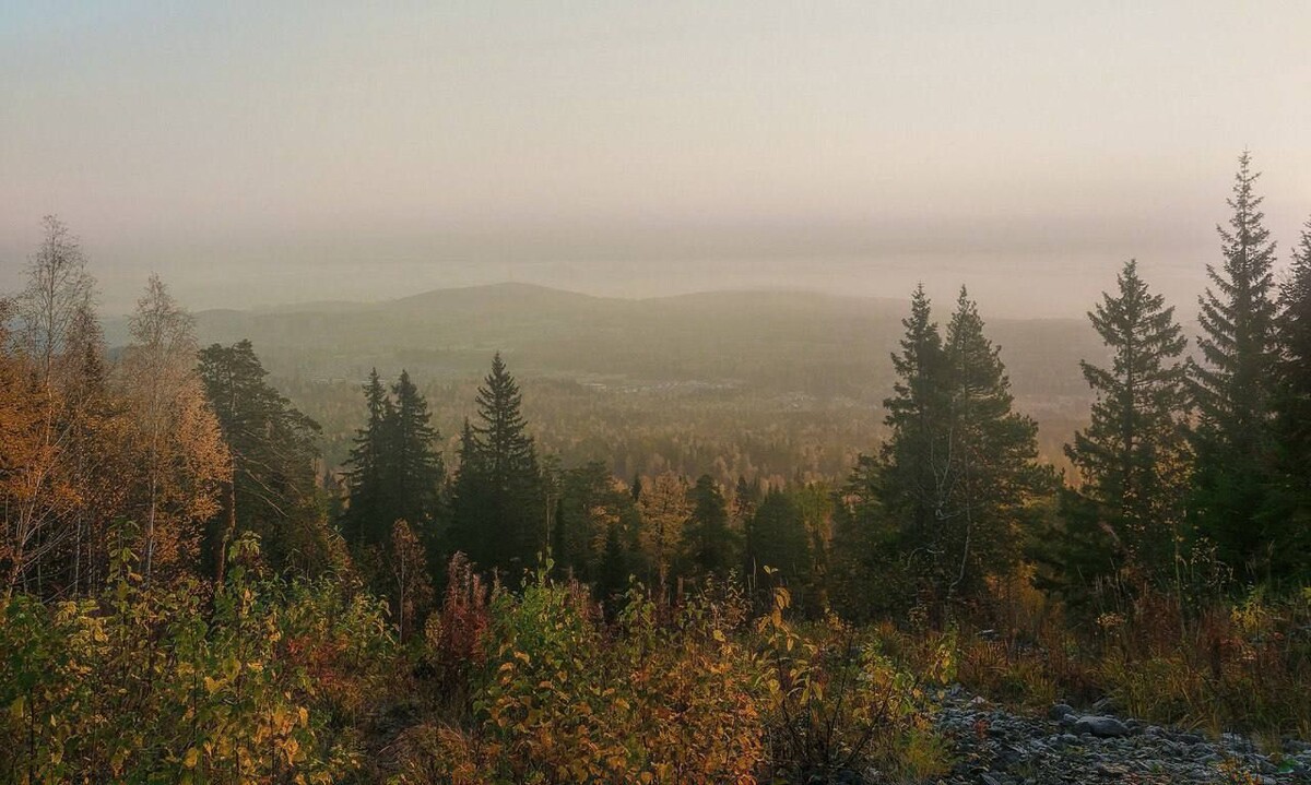     / Источник: © Главное следственное управление Следственного комитета Российской Федерации по Красноярскому краю и Республике Хакасия