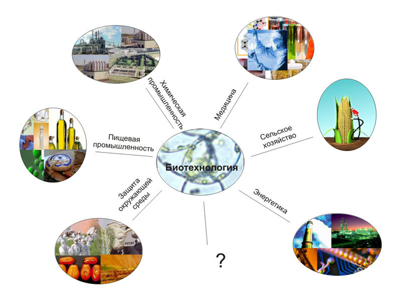 Источник: из свободного интернет-ресурса.