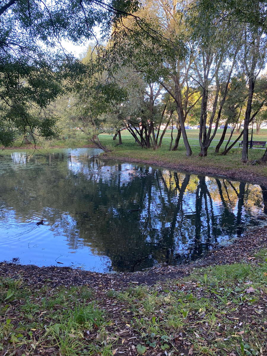 Фото автора. Наш парк.