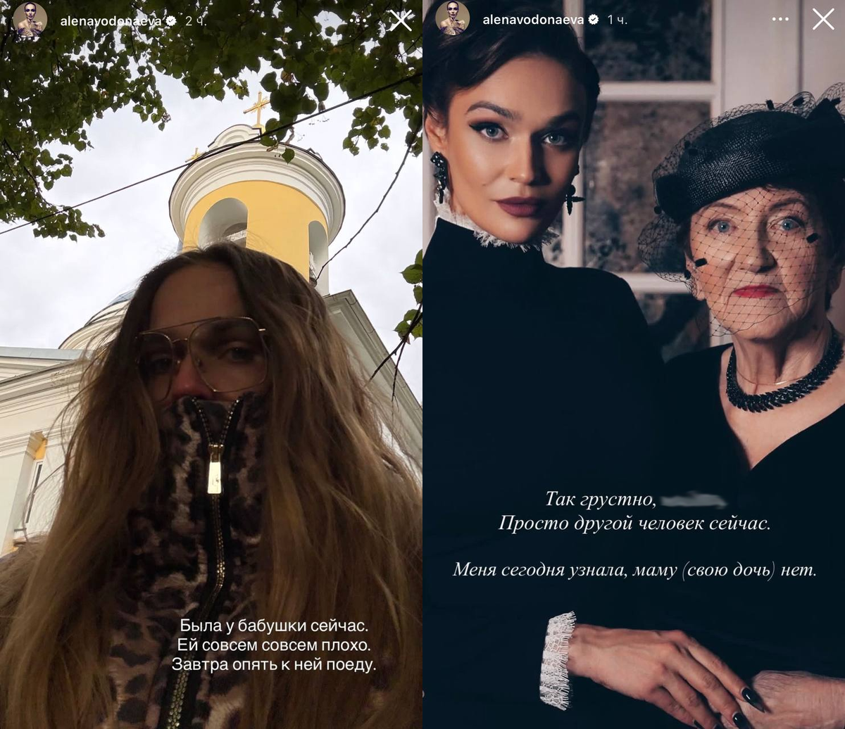 Публикации Алены Водонаевой в запрещенной соцсети.