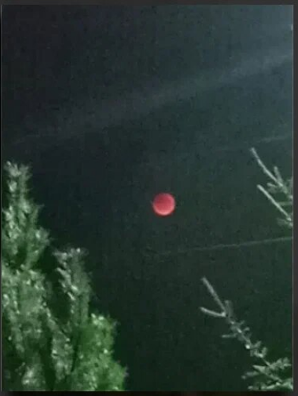 Фото Крыса Чердачного.
Red Moon in Bykovo