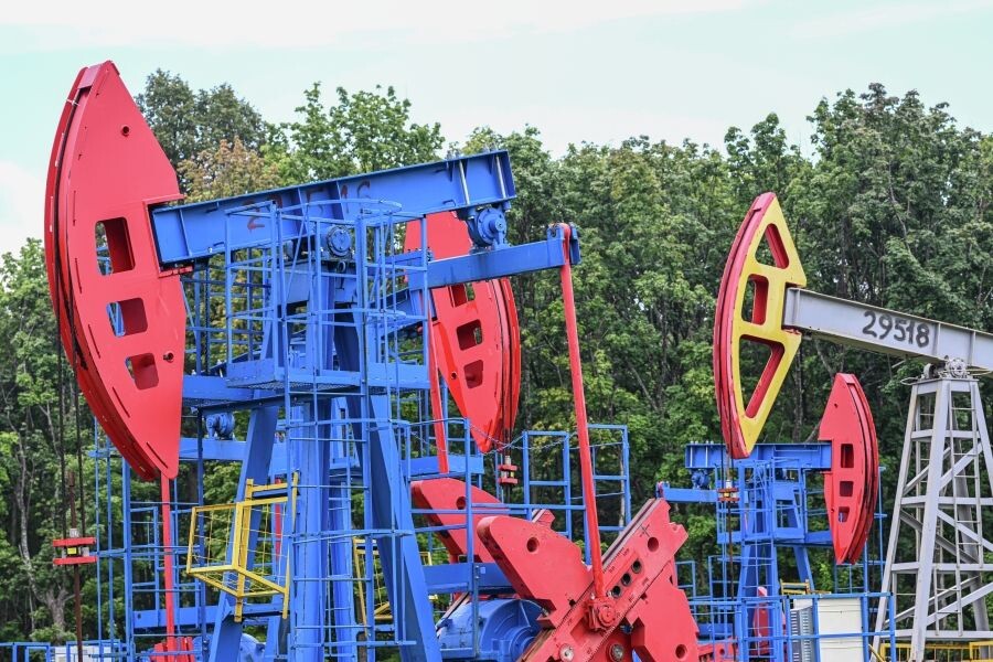     / Источник: © Максим Богодвид/РИА Новости