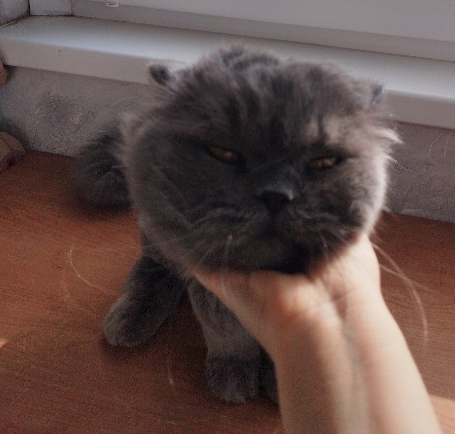 Нам всём нужно учиться относиться к себе бережно, и жалеть хоть чуть-чуть. 